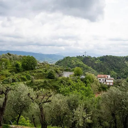 Gli Olivi * Vezzano Ligure